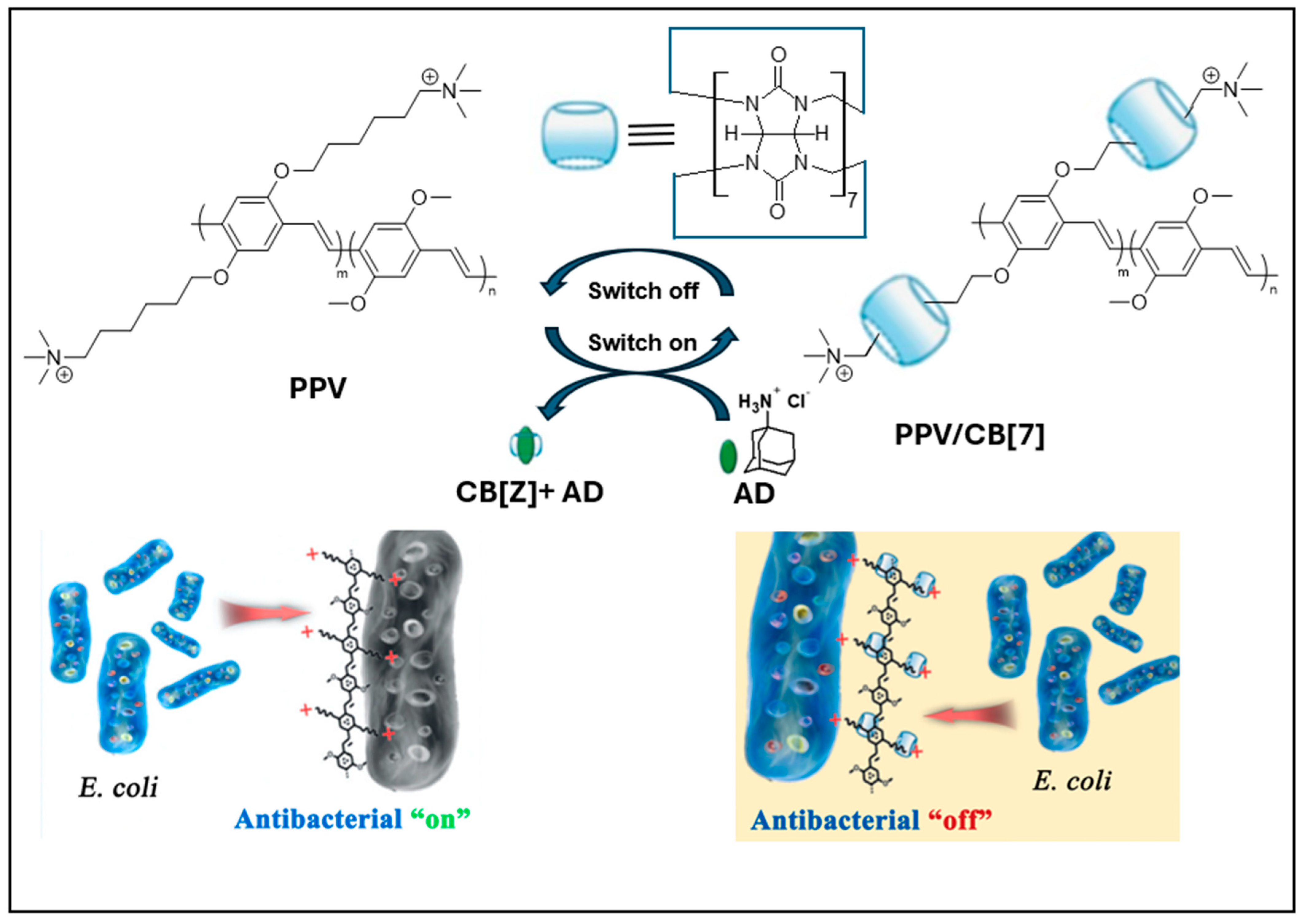 Polymers 16 01407 g011
