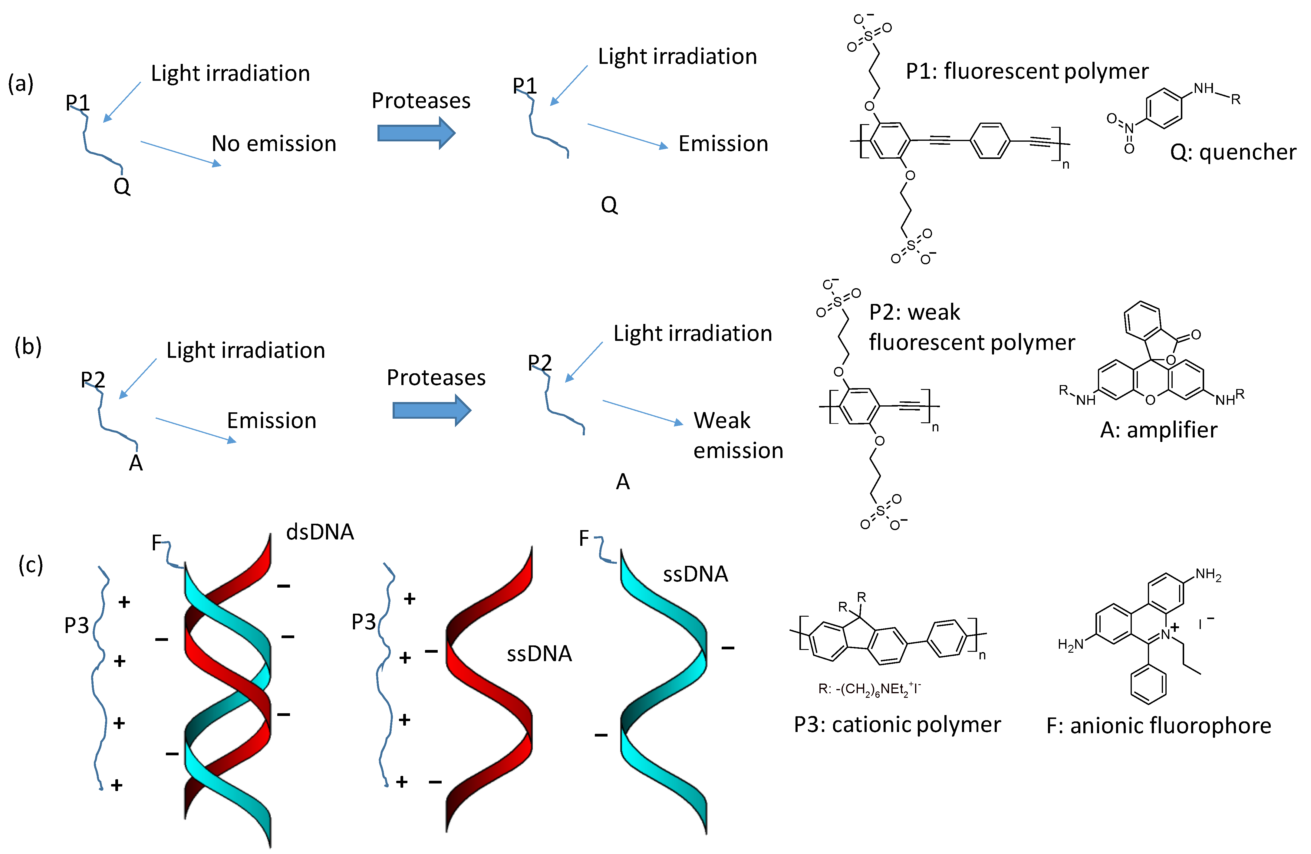 Polymers 16 01407 g015