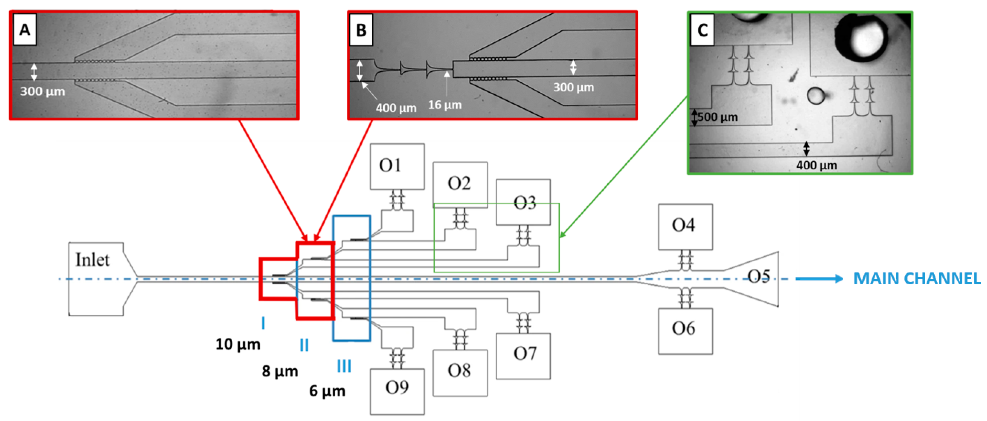 Polymers 16 01416 g005