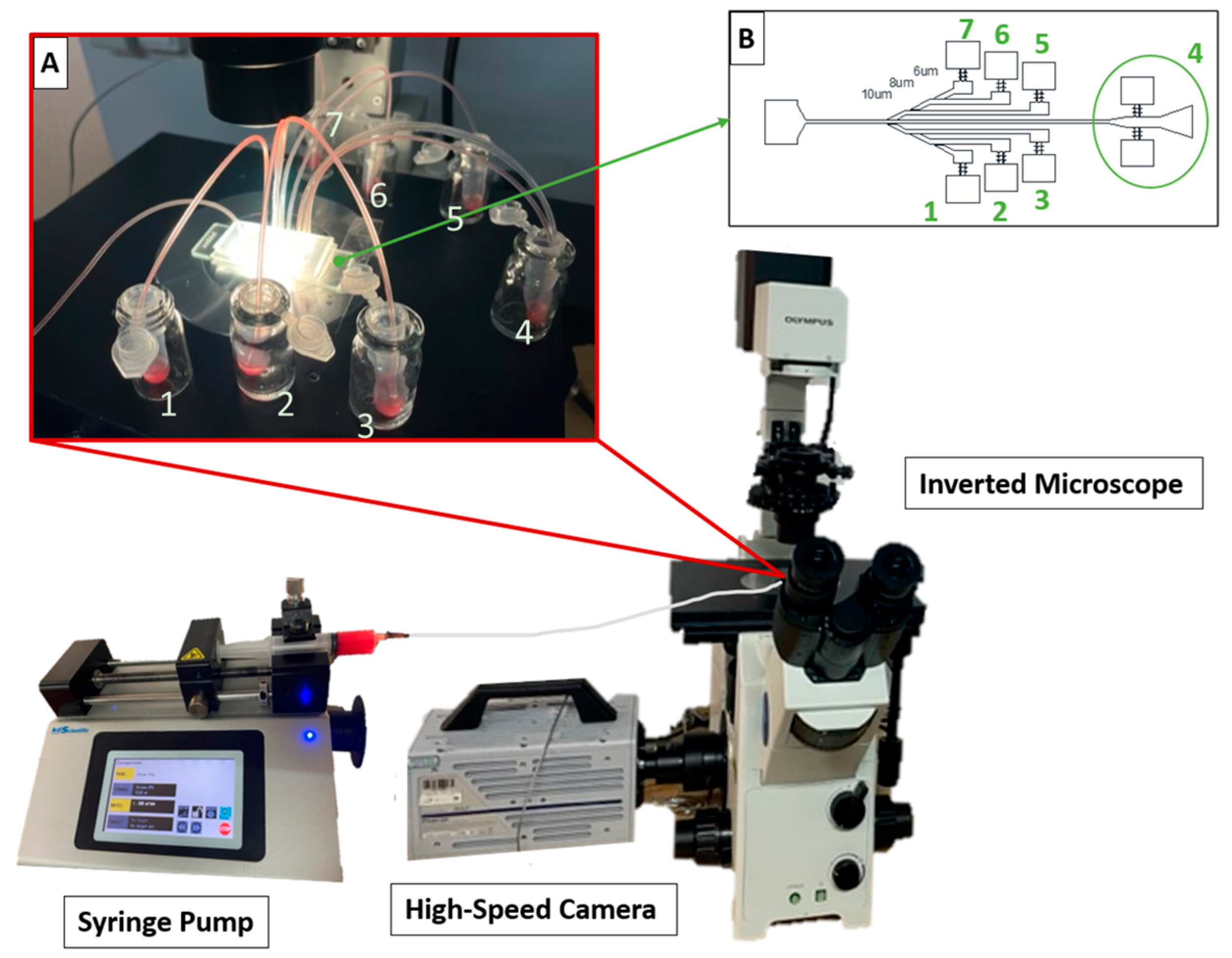 Polymers 16 01416 g006