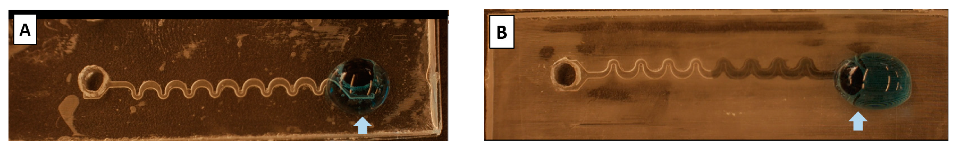 Polymers 16 01416 g010