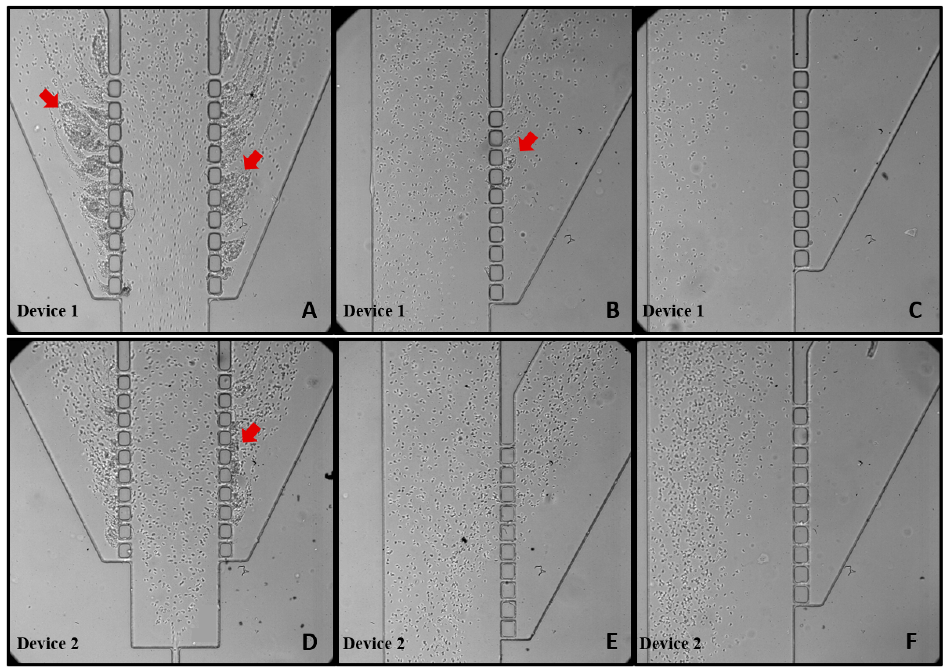 Polymers 16 01416 g011