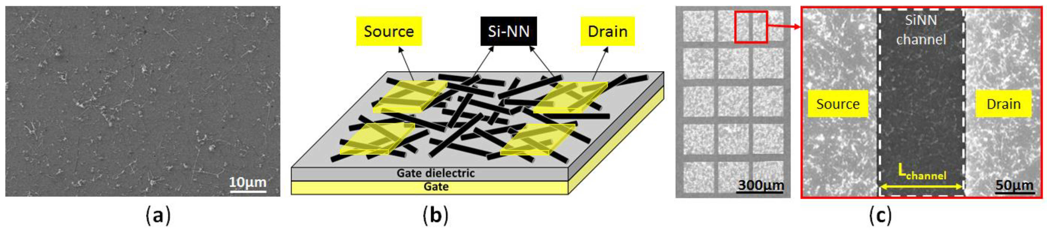 Proceedings 01 00312 g001