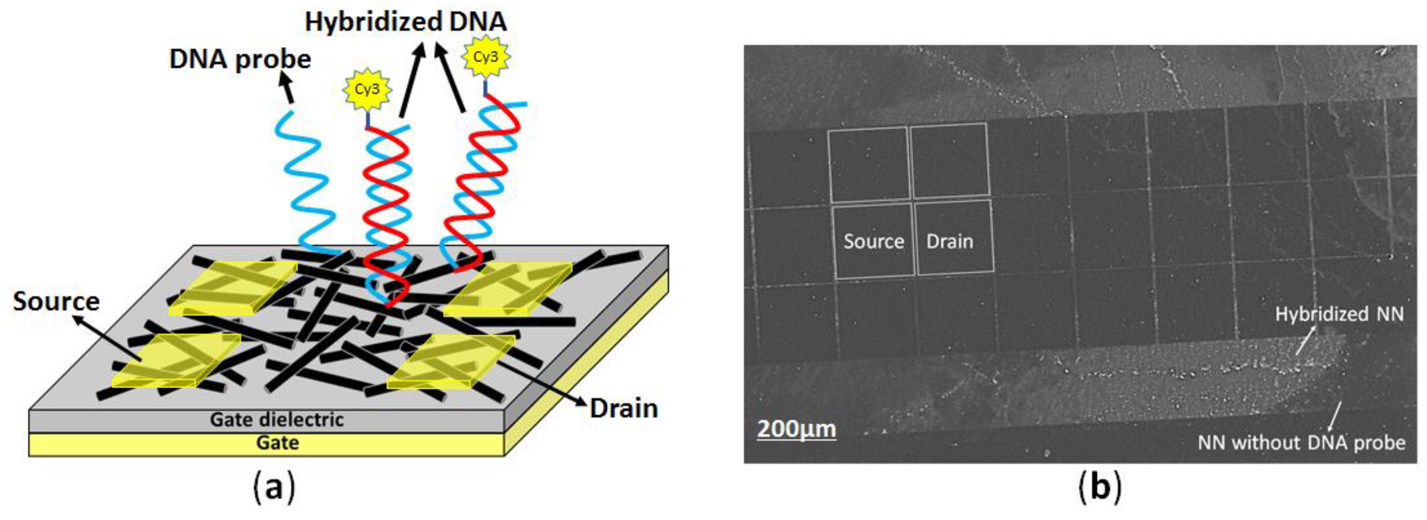 Proceedings 01 00312 g003