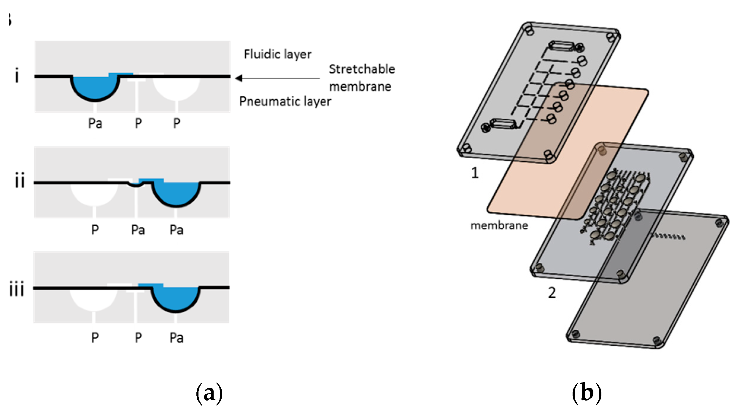 Proceedings 01 00501 g001