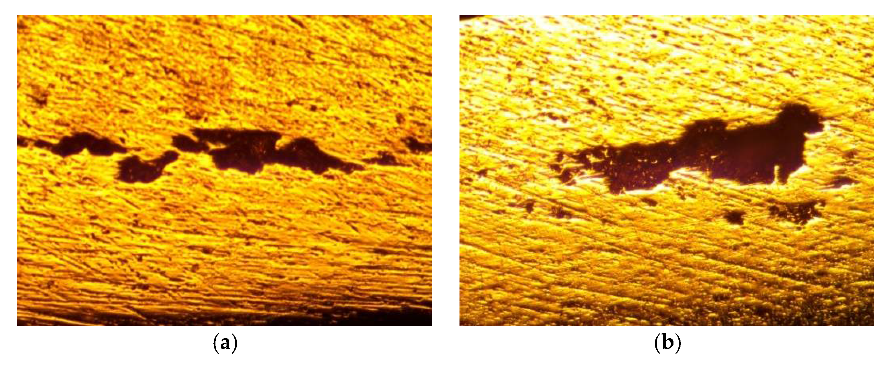 Proceedings 02 00403 g005