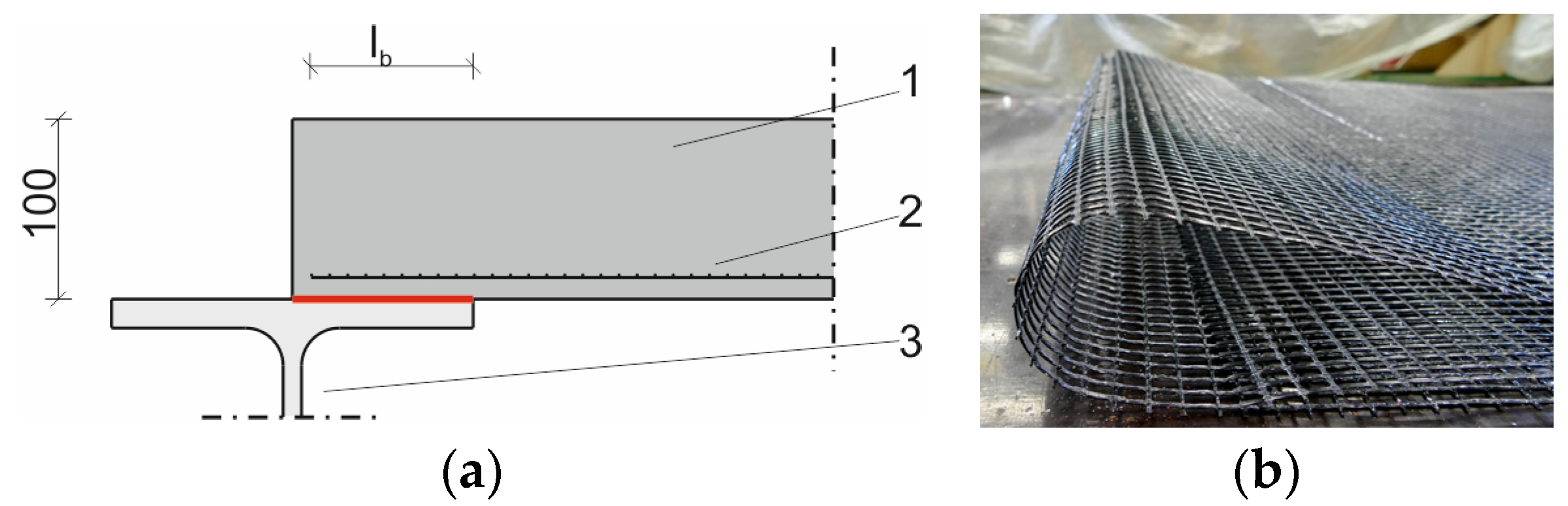 Proceedings 02 00543 g001