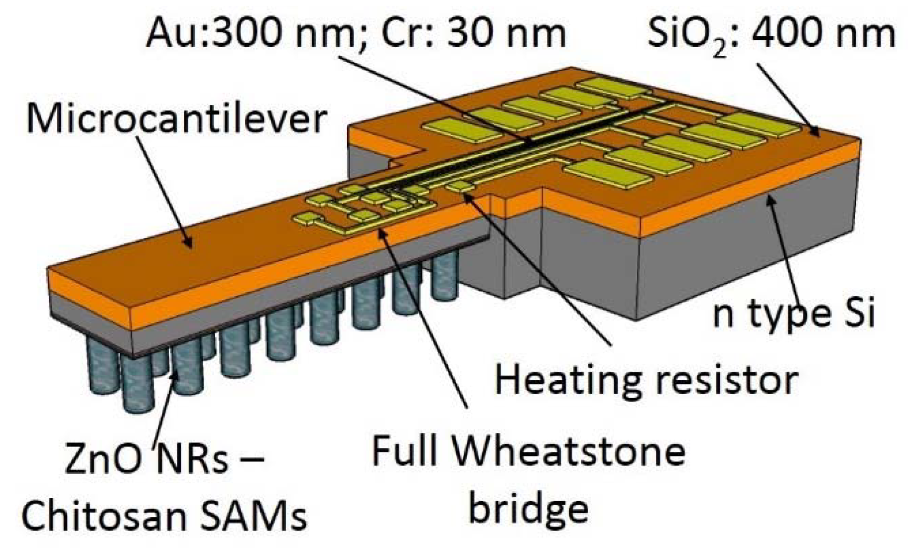 Proceedings 02 00838 g001