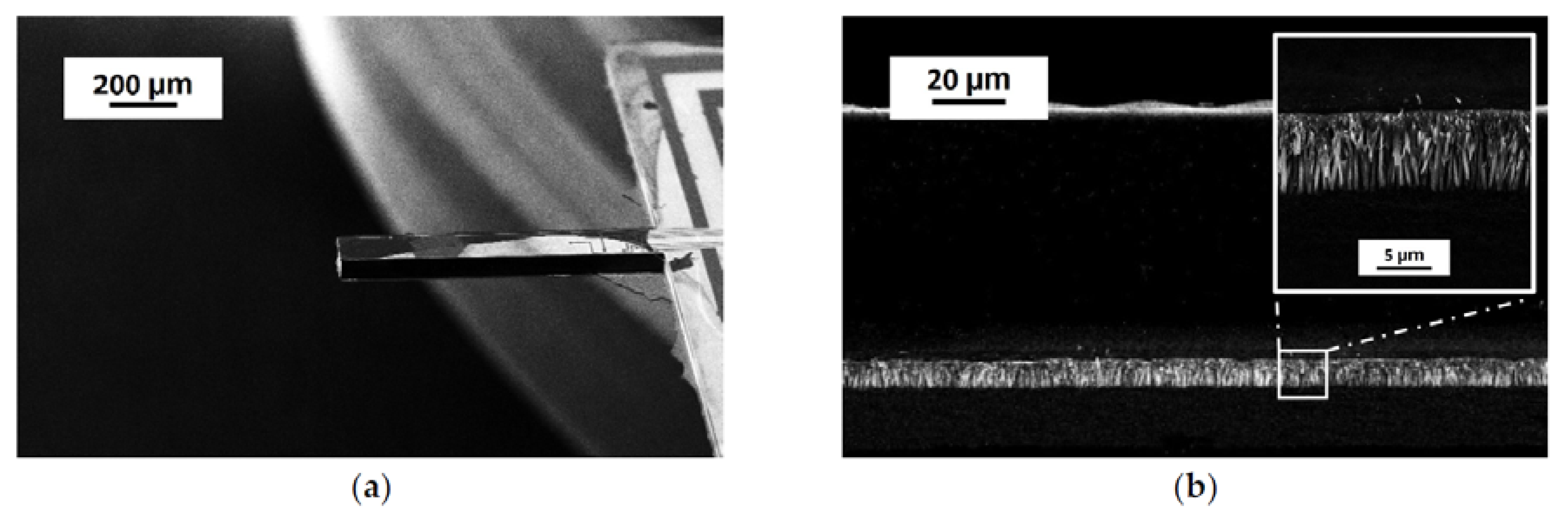 Proceedings 02 00838 g002