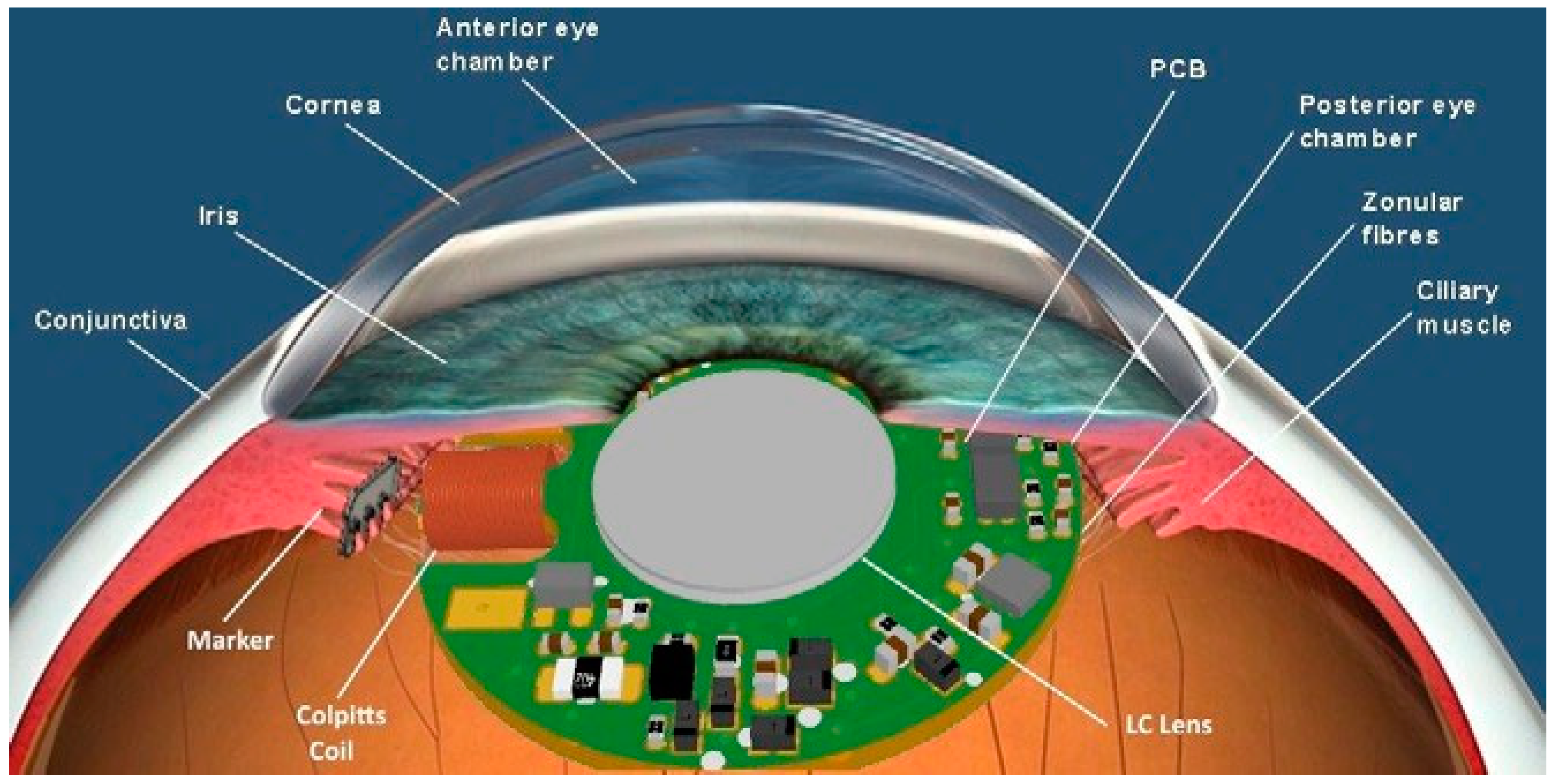 Proceedings 02 00936 g001
