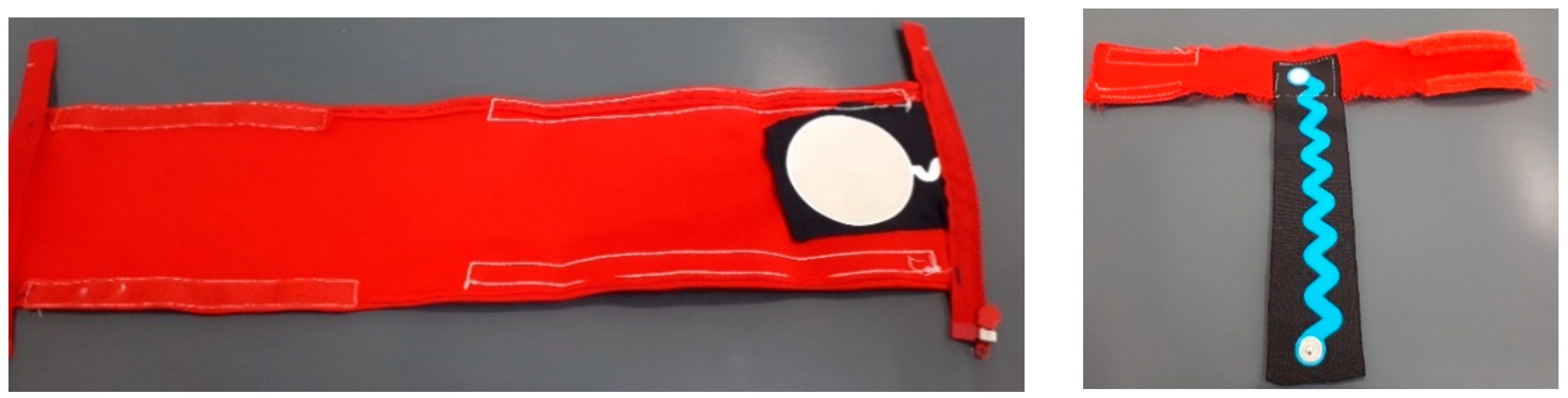 Proceedings 32 00013 g004