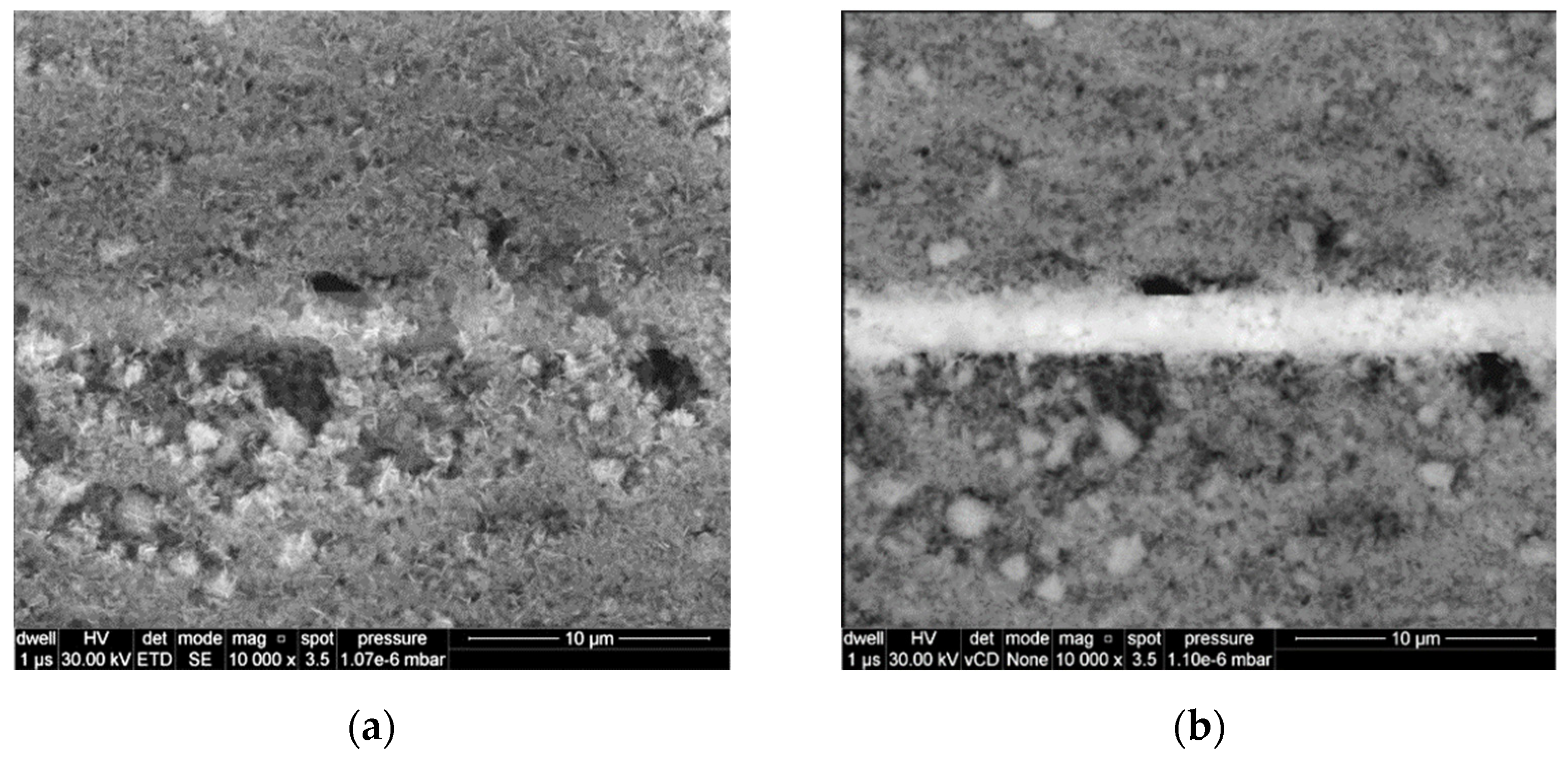 Proceedings 42 00082 g002