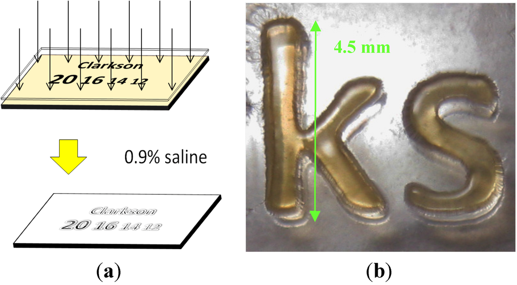 Processes 01 00153 g002 1024