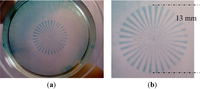 Processes 01 00153 g005 200