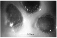 Processes 02 00012 g002 200