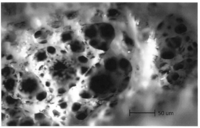 Processes 02 00012 g003 200