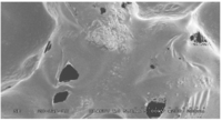 Processes 02 00012 g010 200