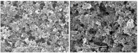 Processes 02 00141 g005 200