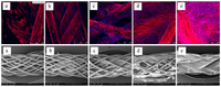 Processes 02 00167 g004 200