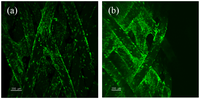 Processes 02 00167 g005 200