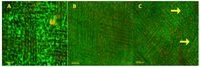 Processes 02 00345 g007 200