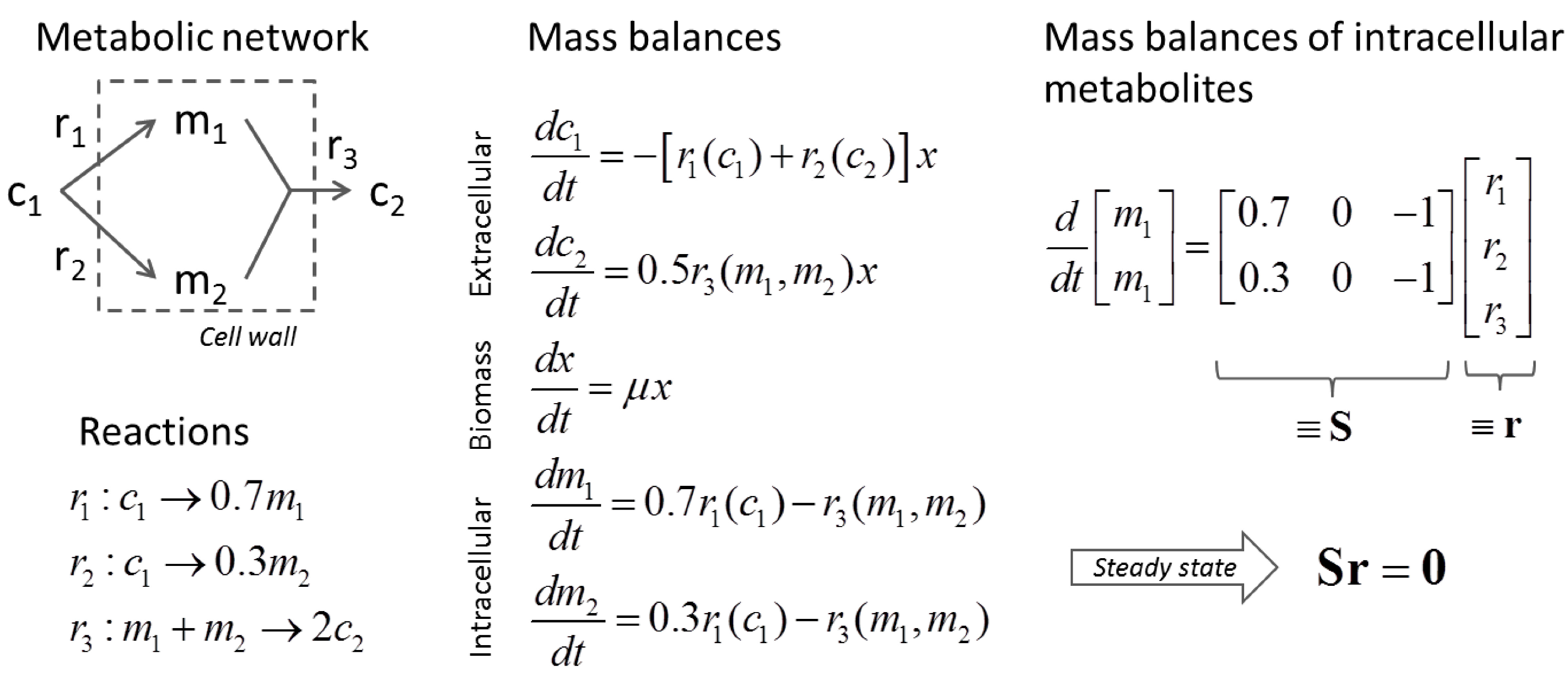 binary options mathematical model