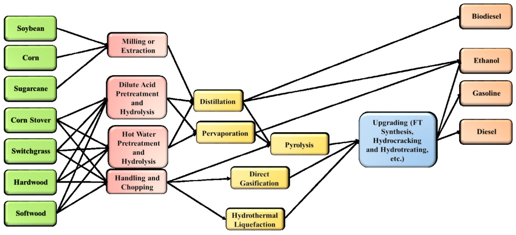 multiple sclerosis