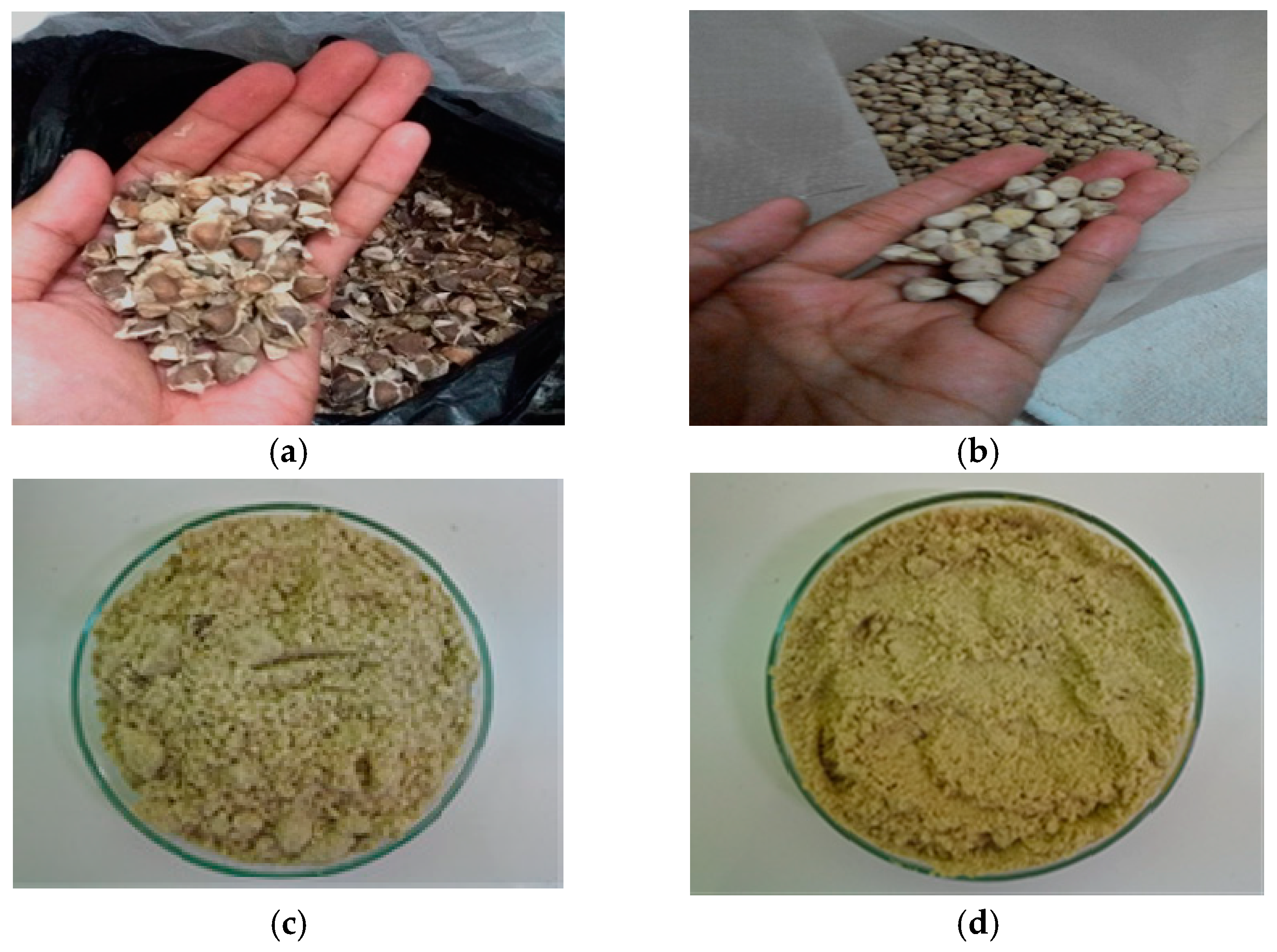 Processes 07 00001 g001