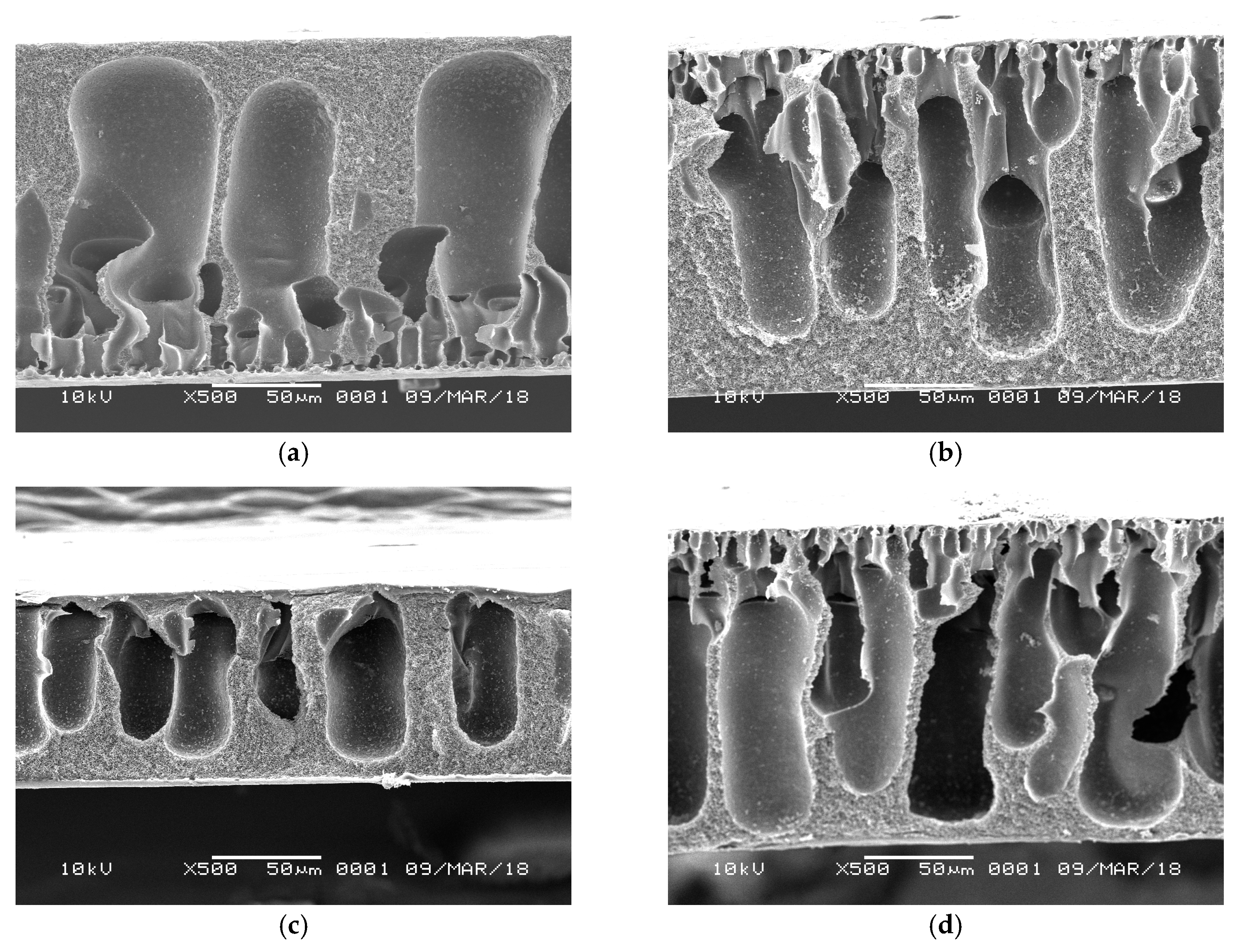 Processes 07 00001 g007