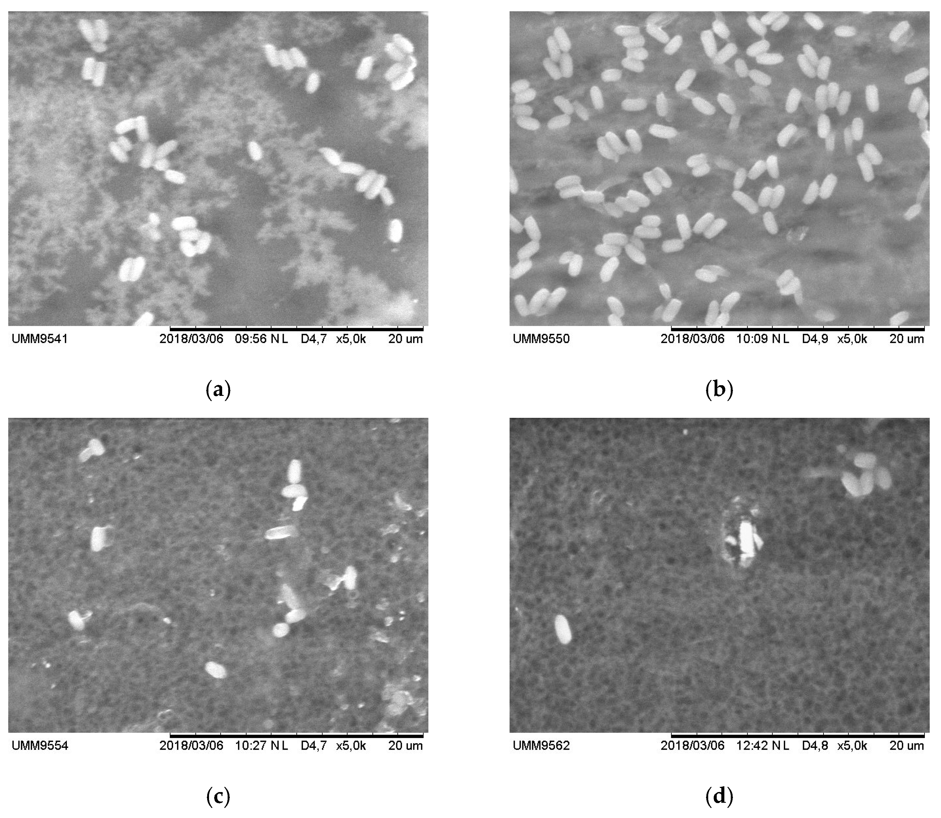 Processes 07 00001 g009