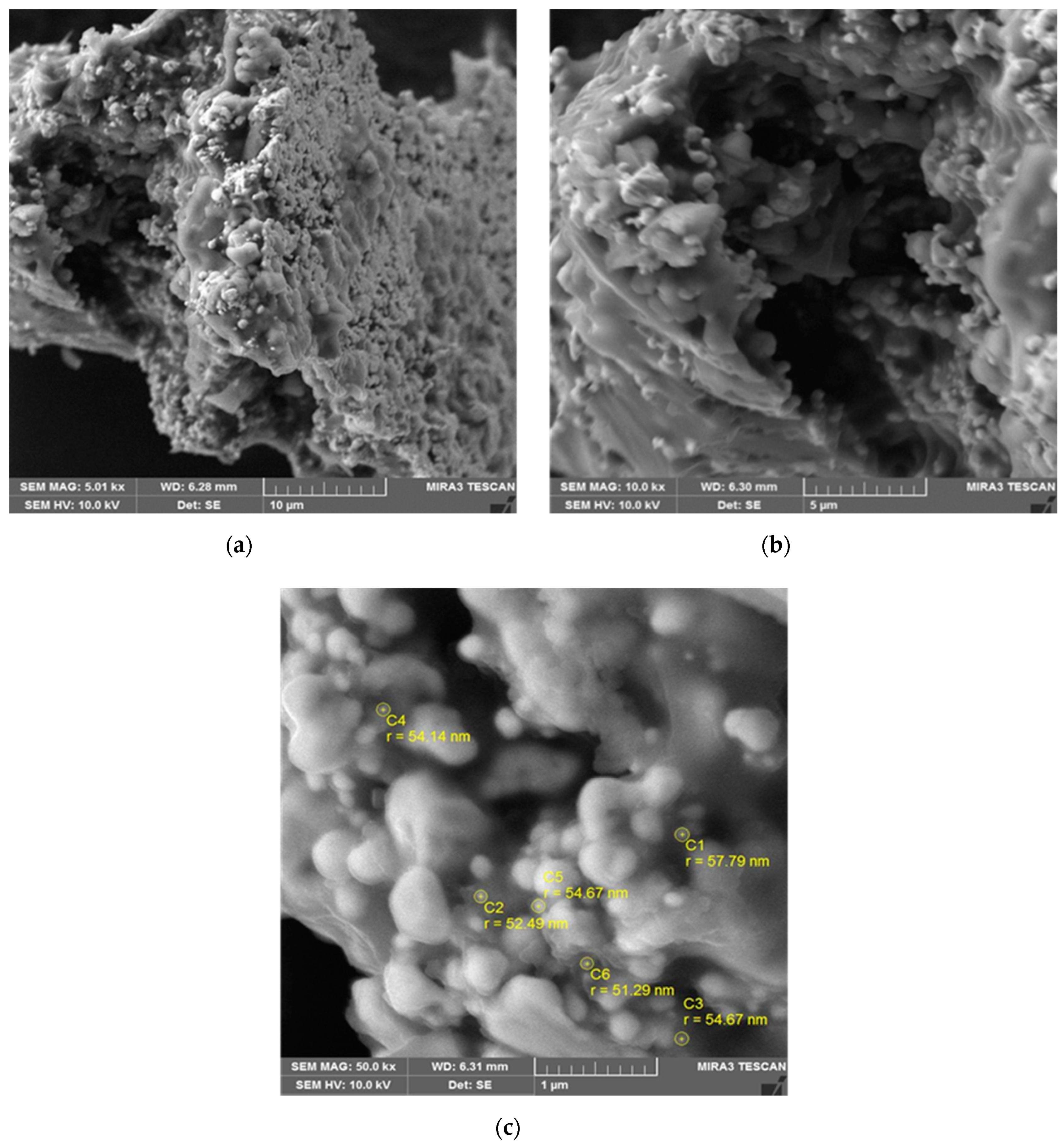 Processes 07 00245 g005