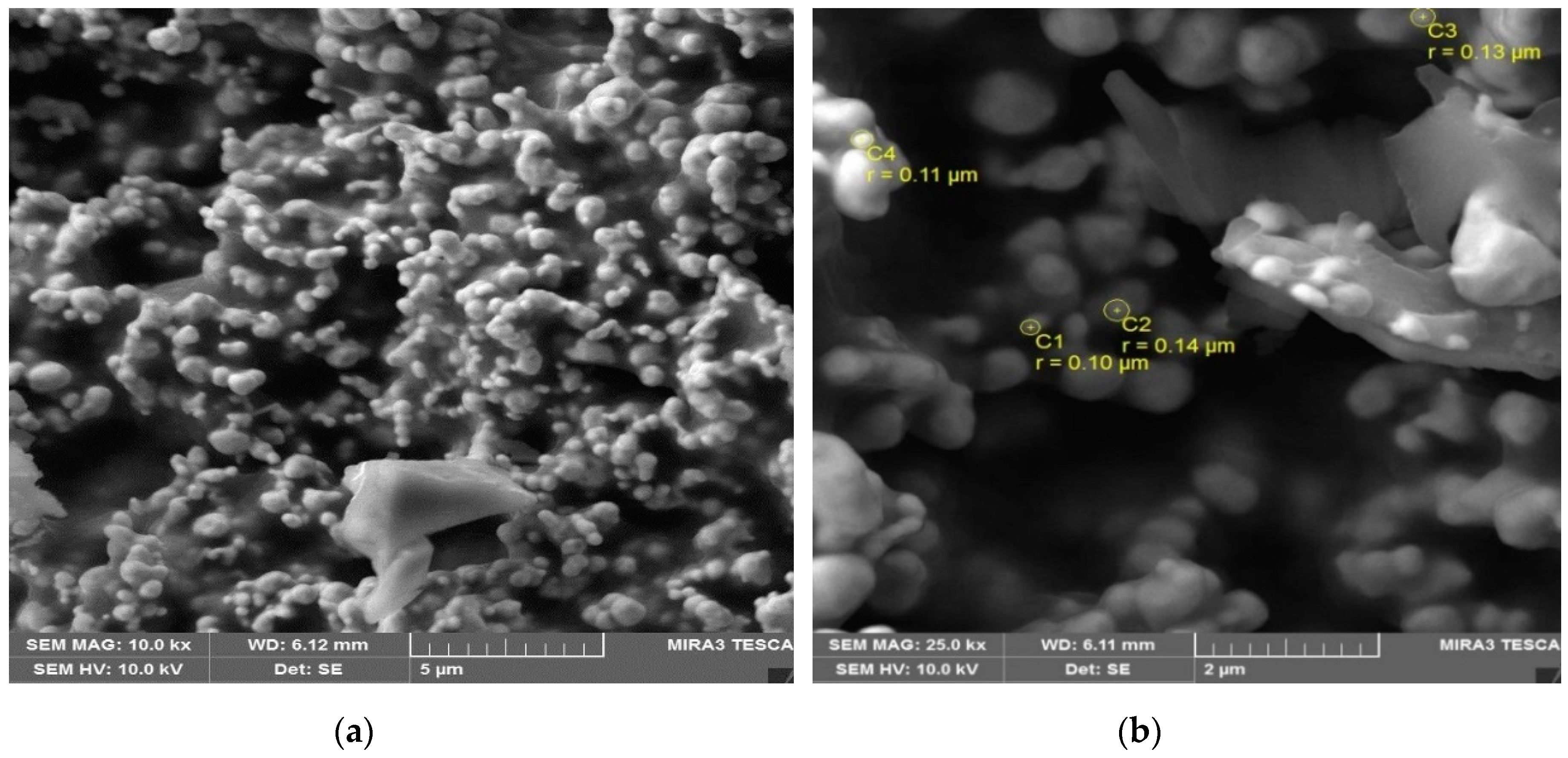 Processes 07 00245 g007a