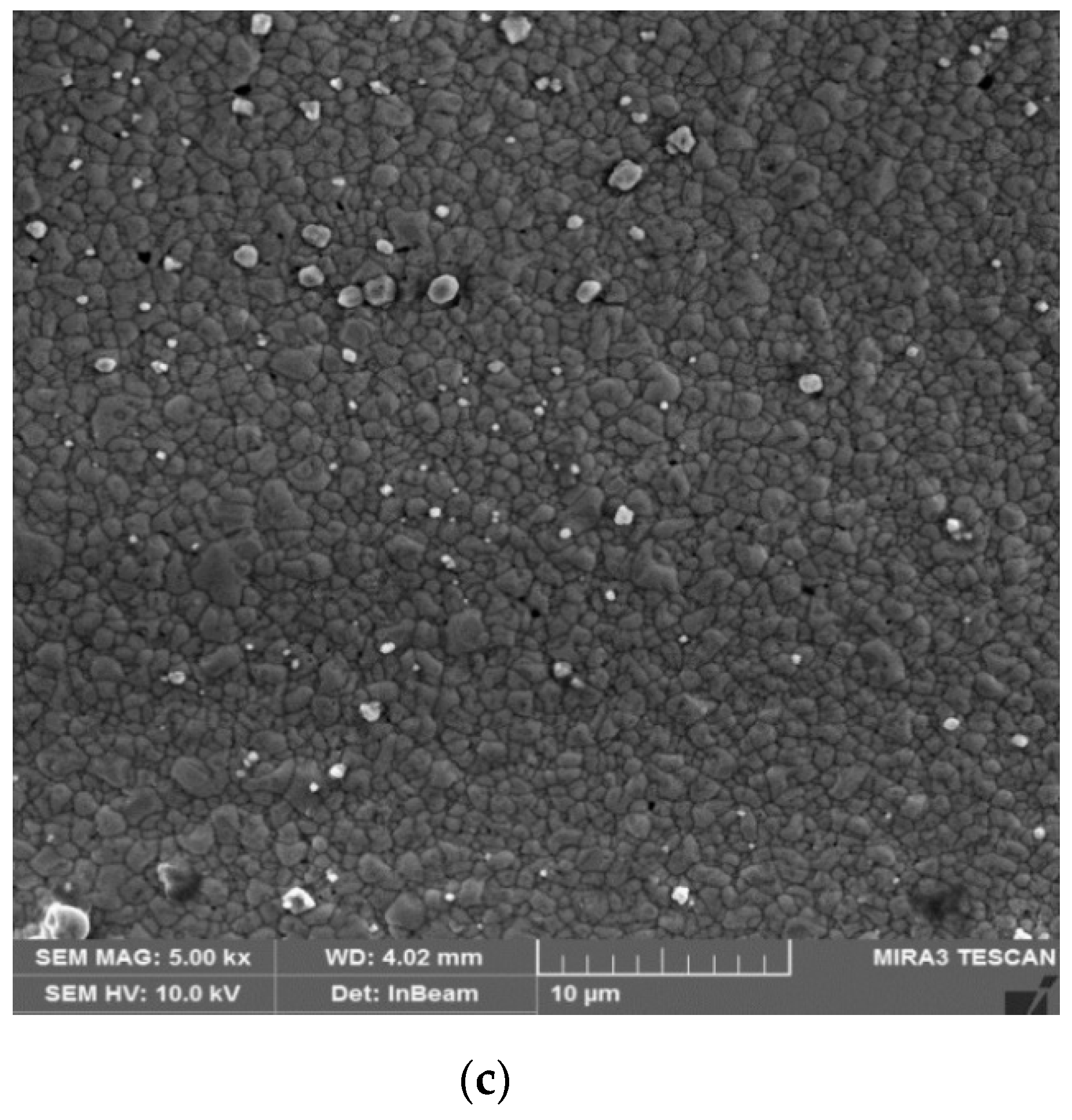 Processes 07 00245 g007b