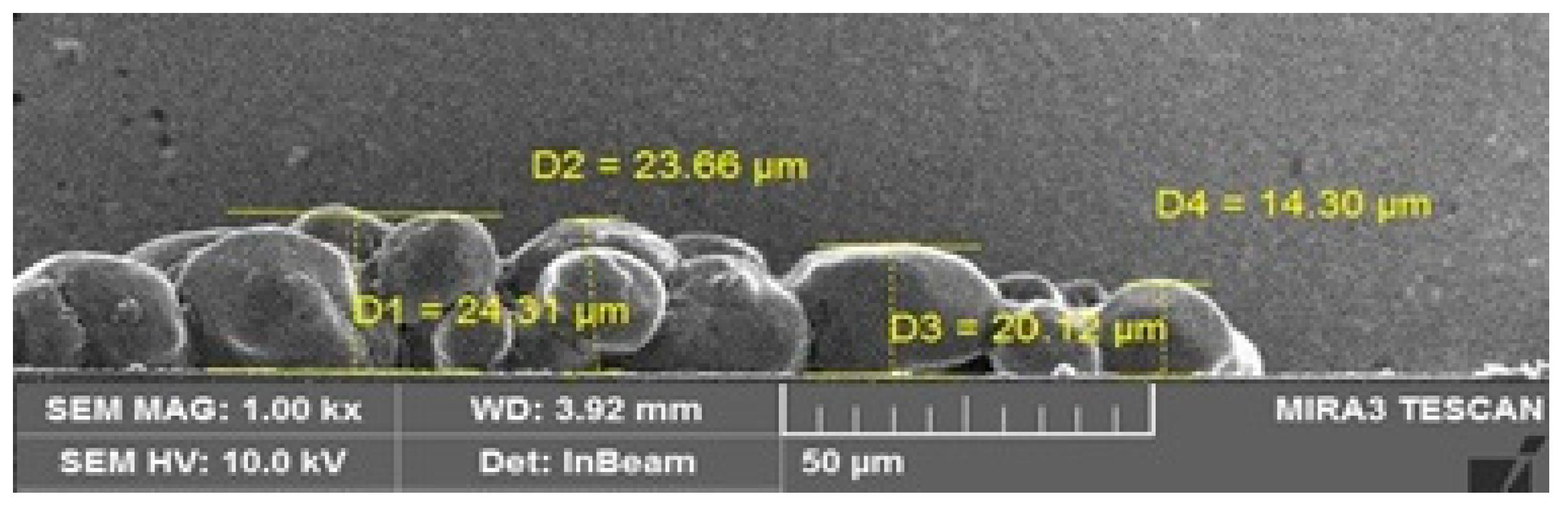 Processes 07 00245 g010