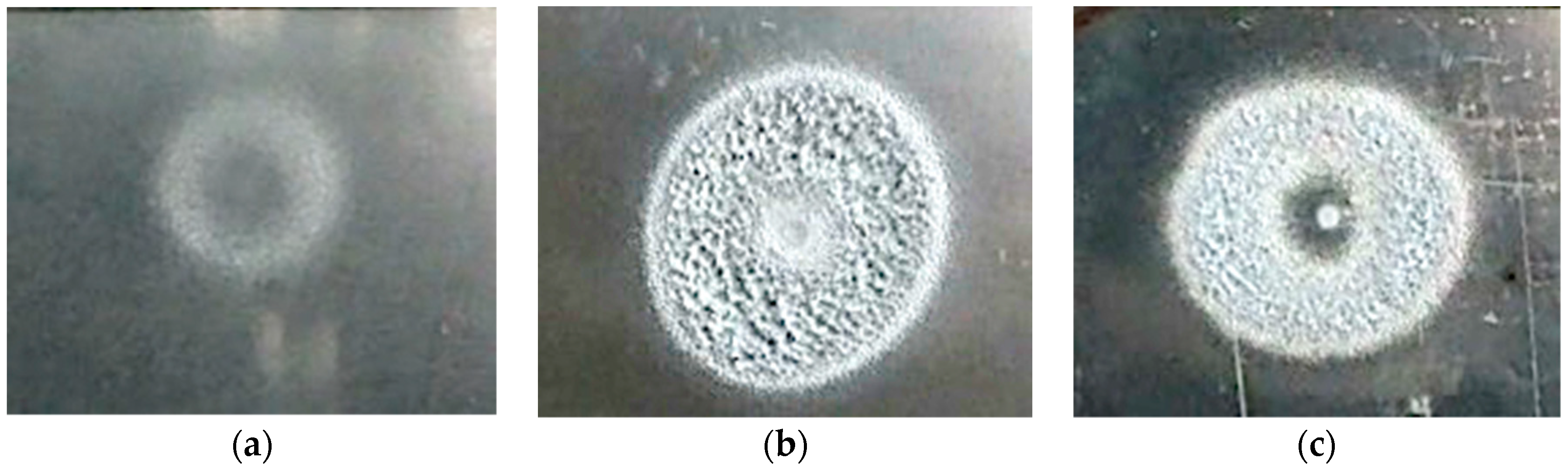 Processes 07 00541 g012