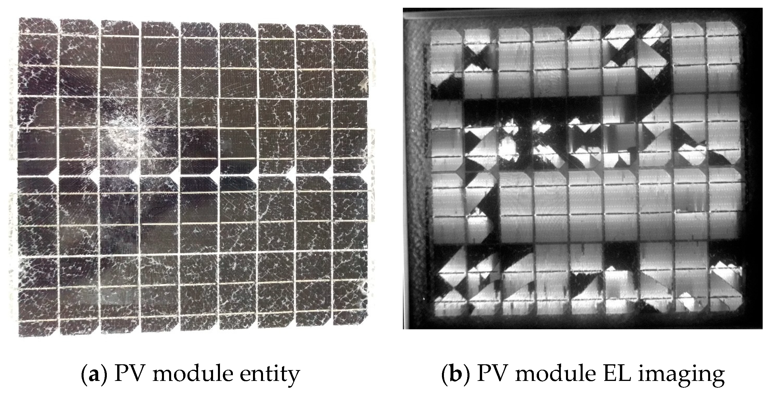 Processes 09 01635 g006