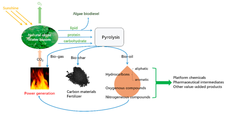 Processes 09 02042 g001