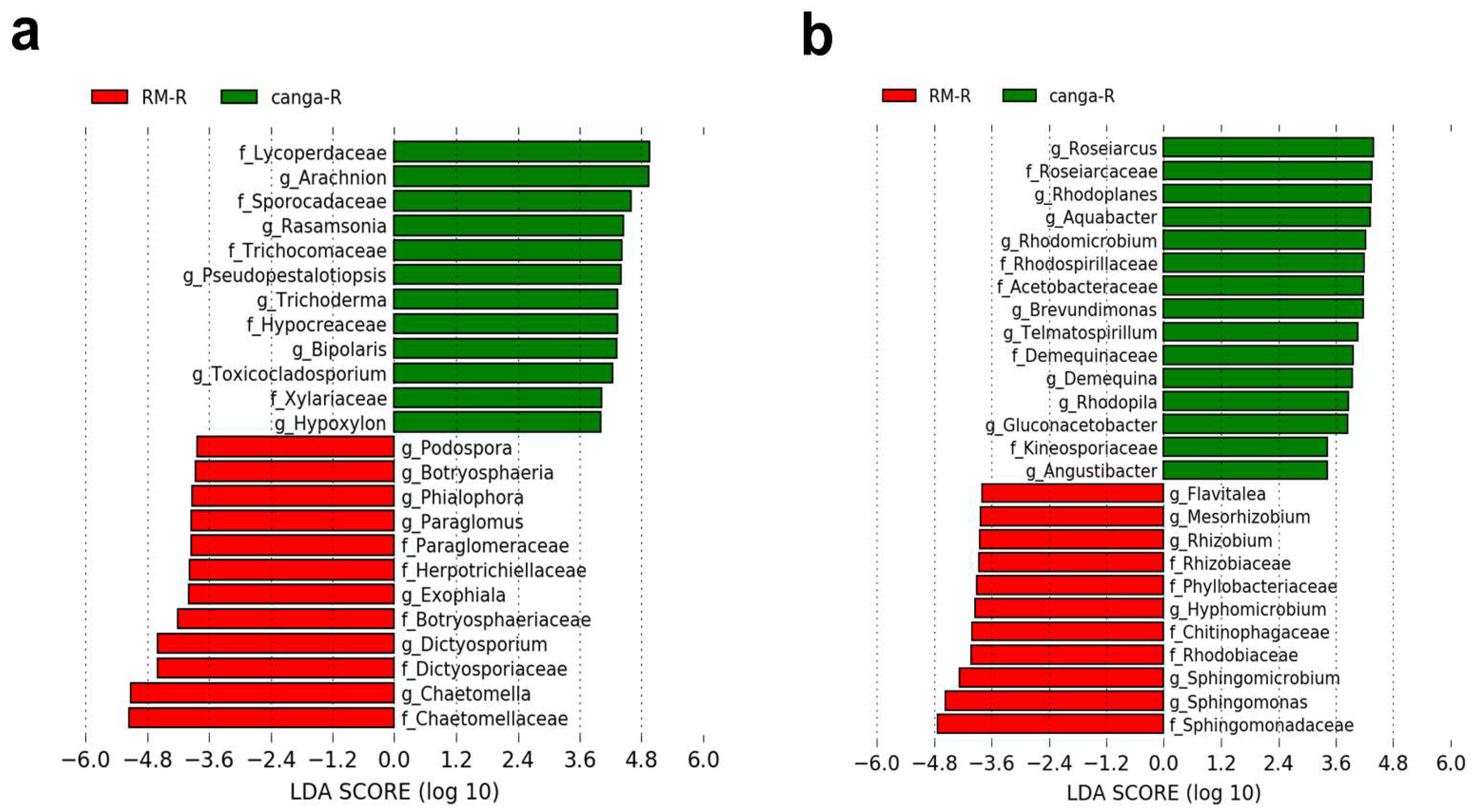 Processes 09 02079 g005