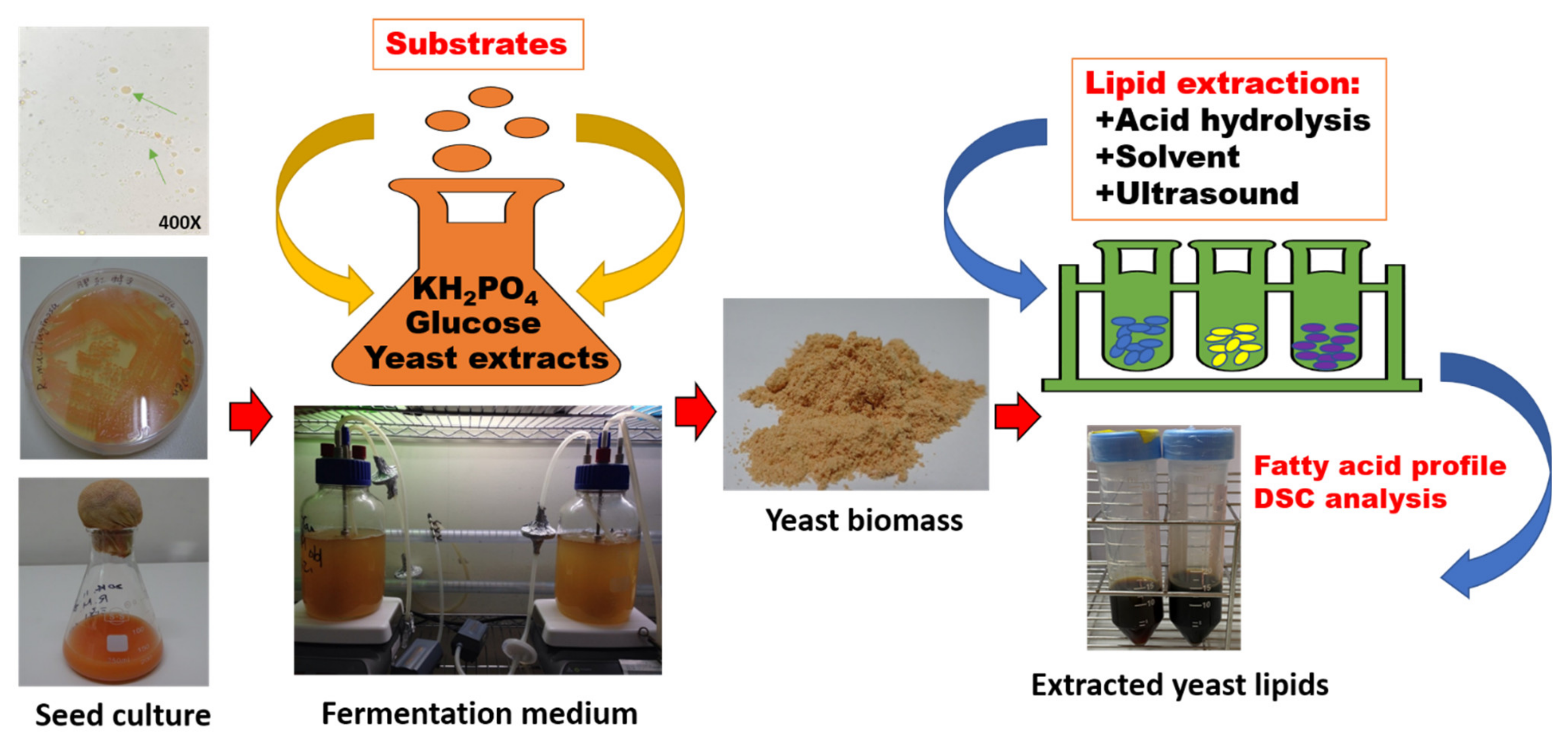 Processes 10 00336 g001