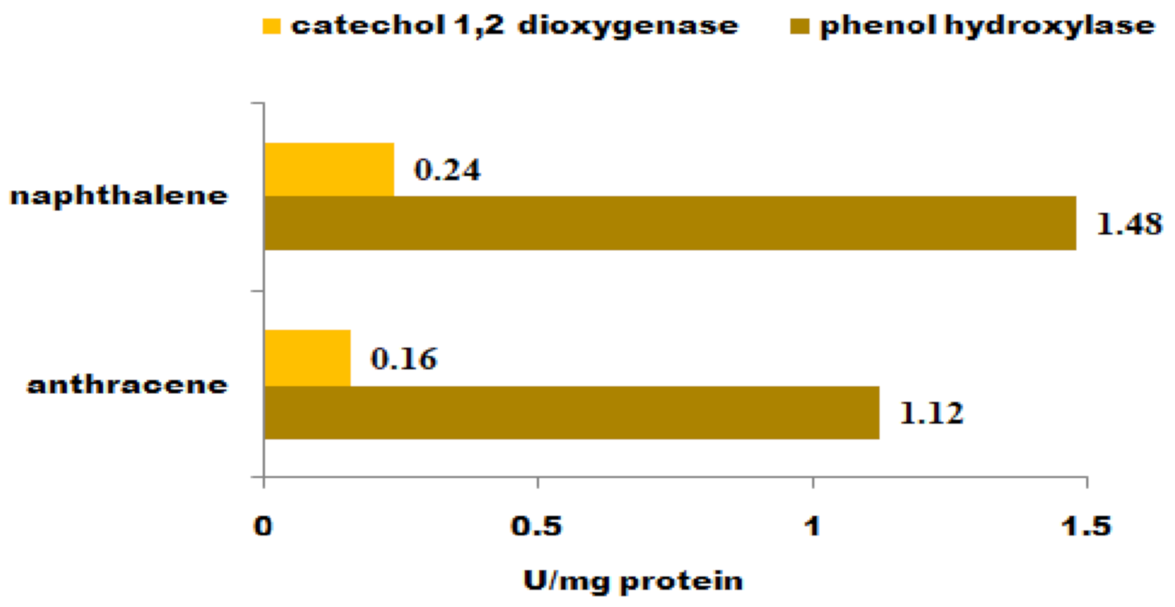 Processes 10 00873 g007 Processes 10 00873 g007