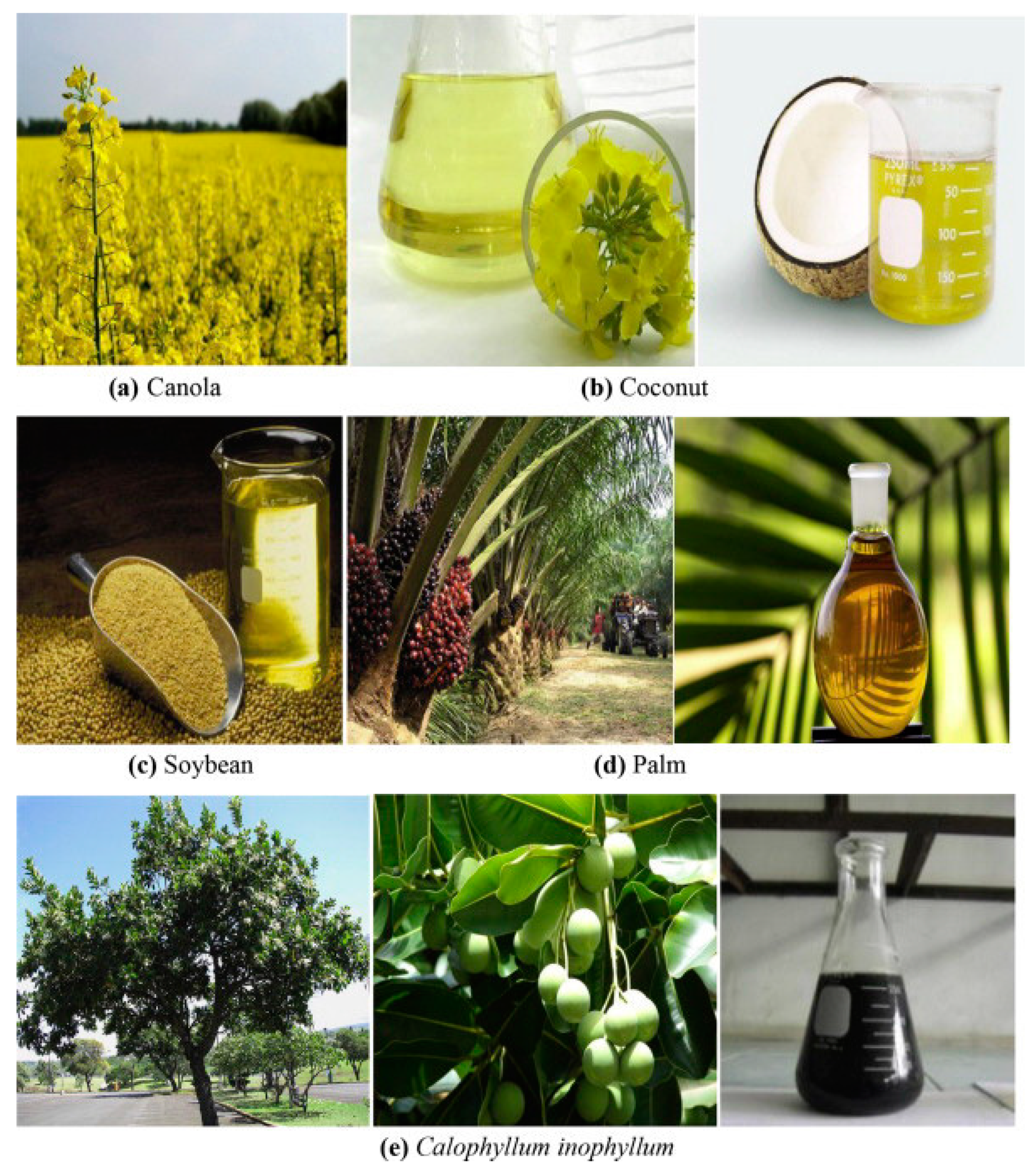 Processes 10 01178 g007