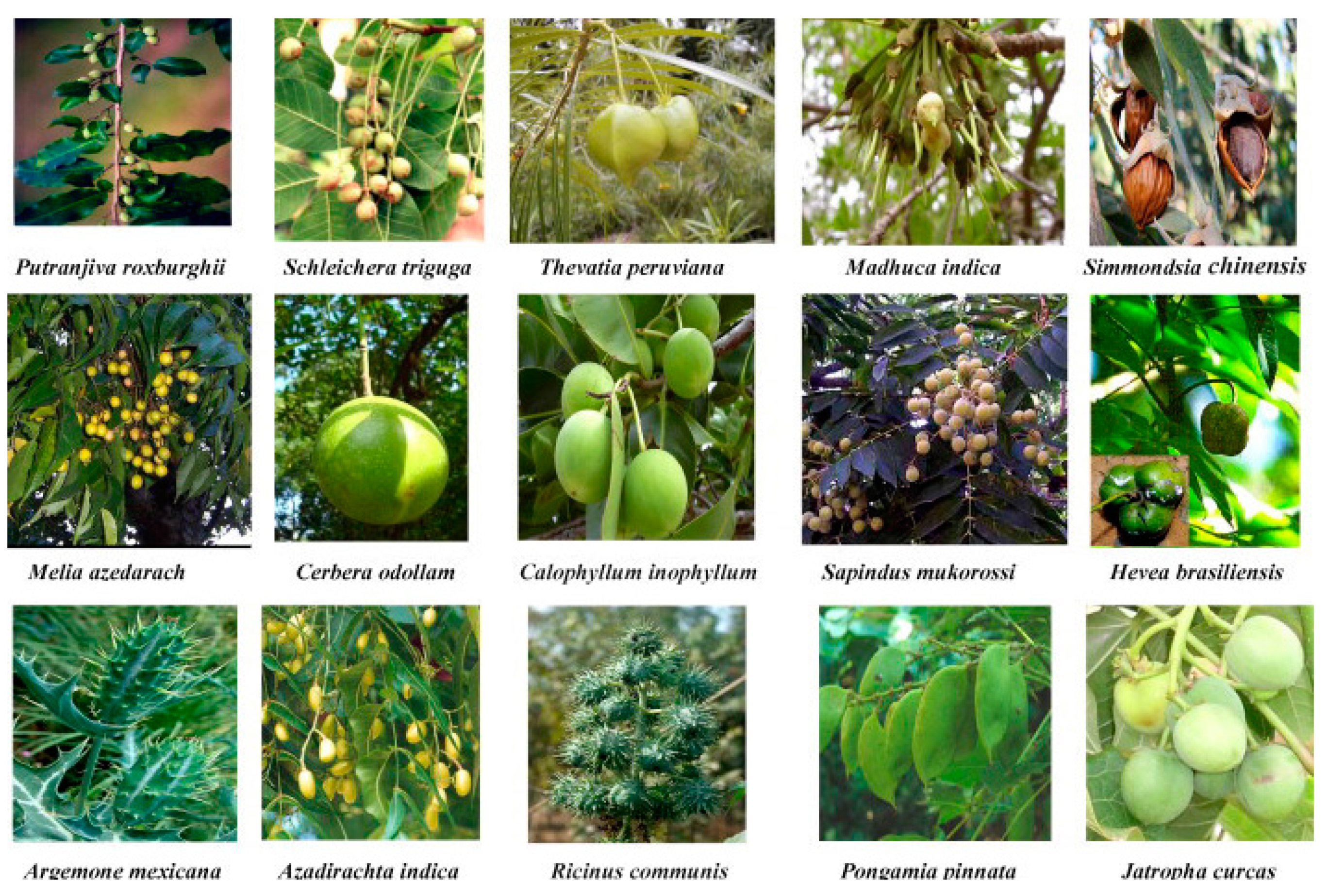 Processes 10 01178 g008