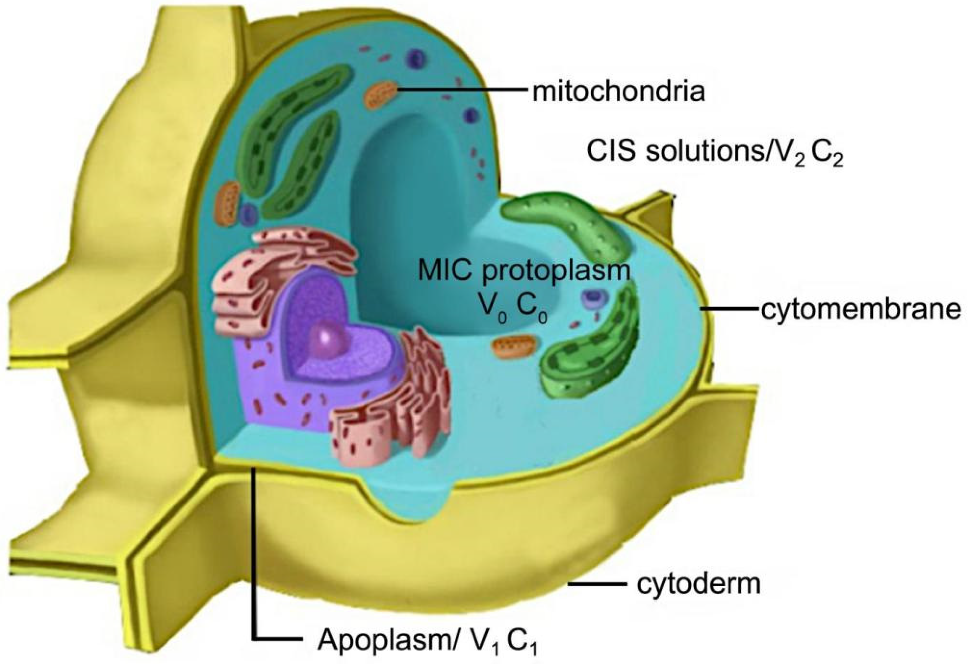 Processes 10 01470 g001