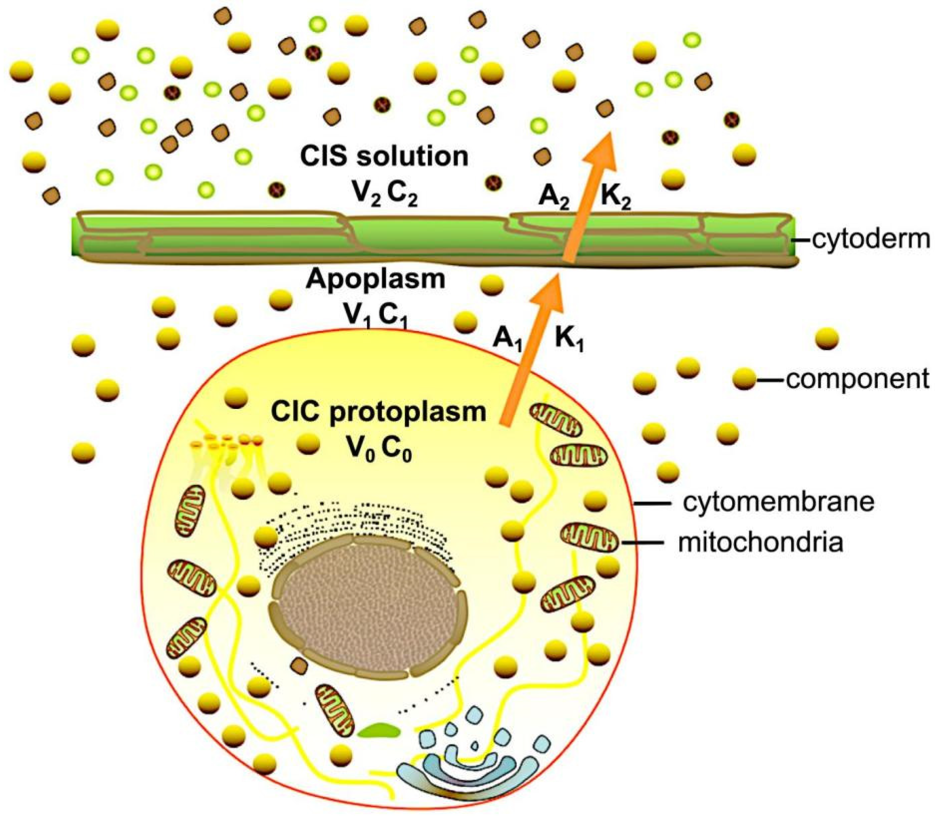 Processes 10 01470 g002