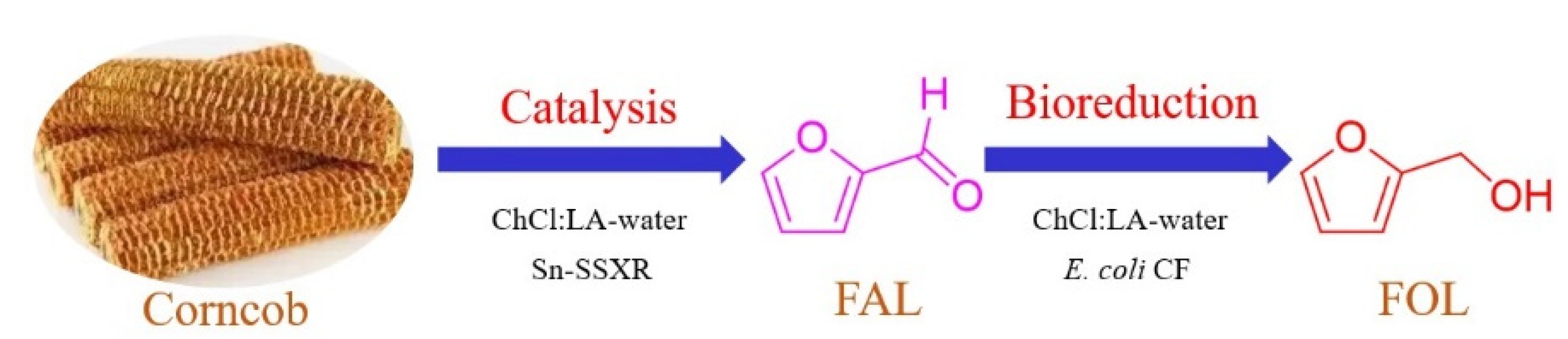Processes 10 01873 sch001