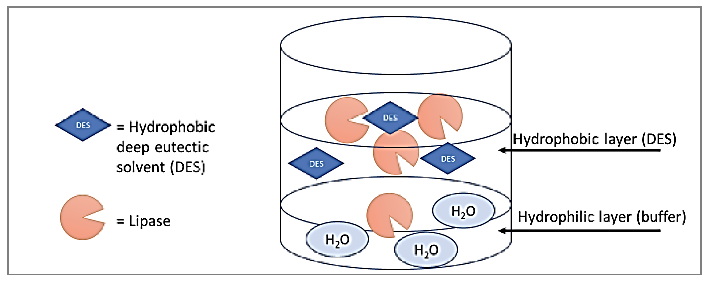 Processes 11 00547 g009