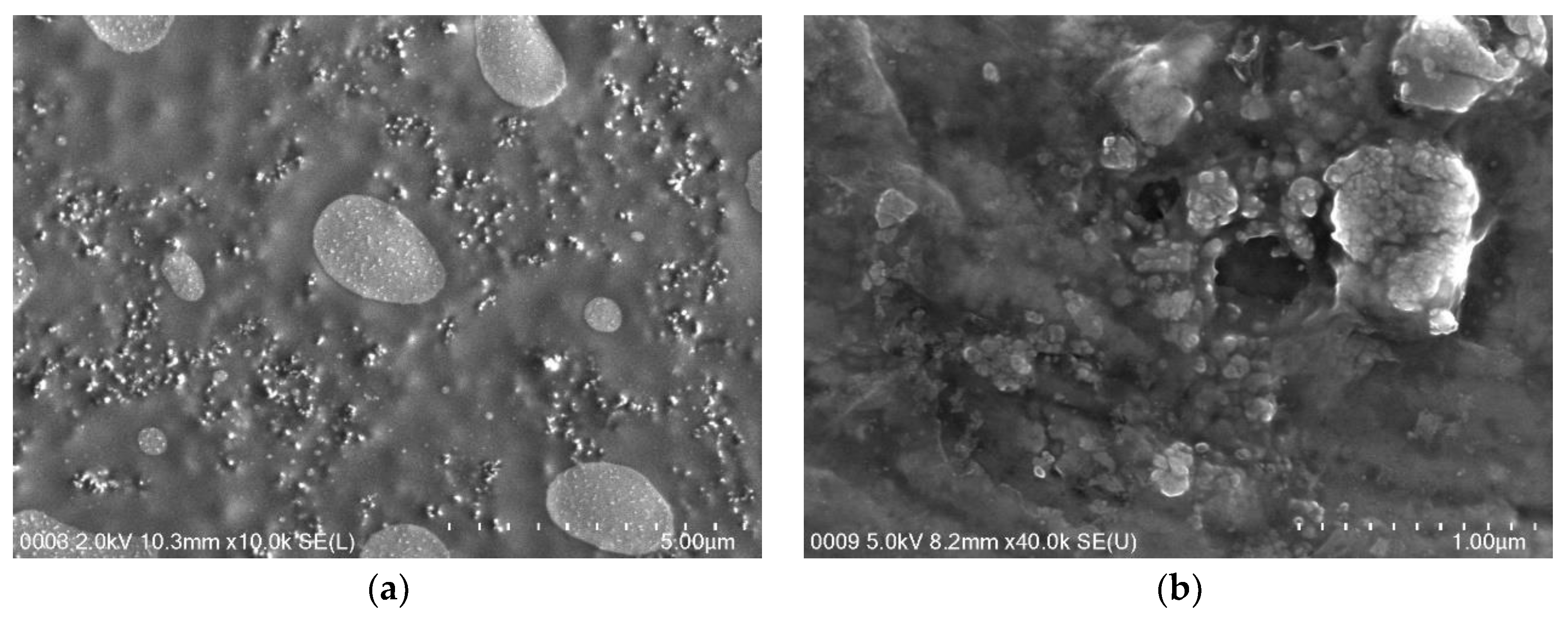 Processes 11 00547 g011
