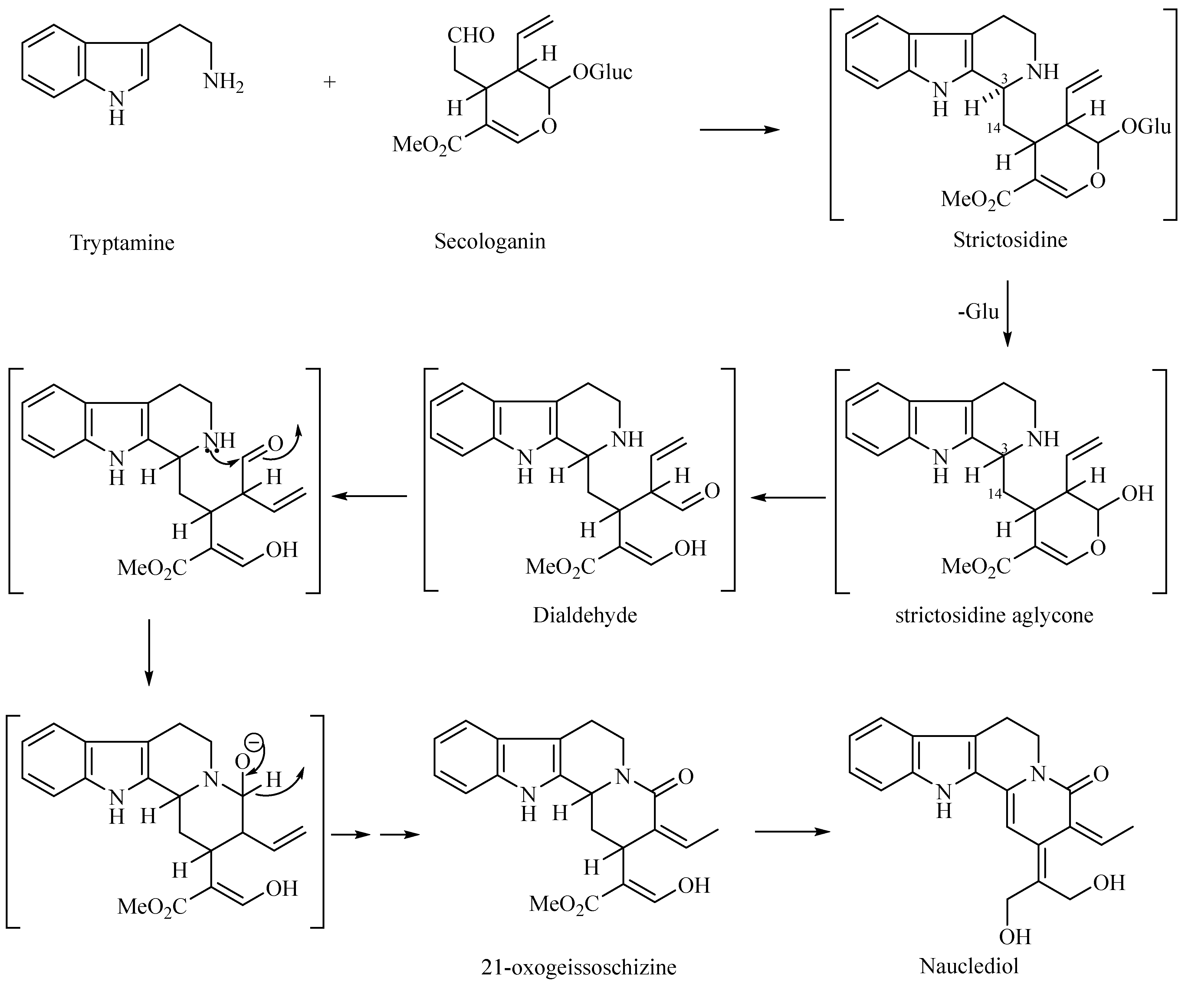 Processes 11 00646 g003