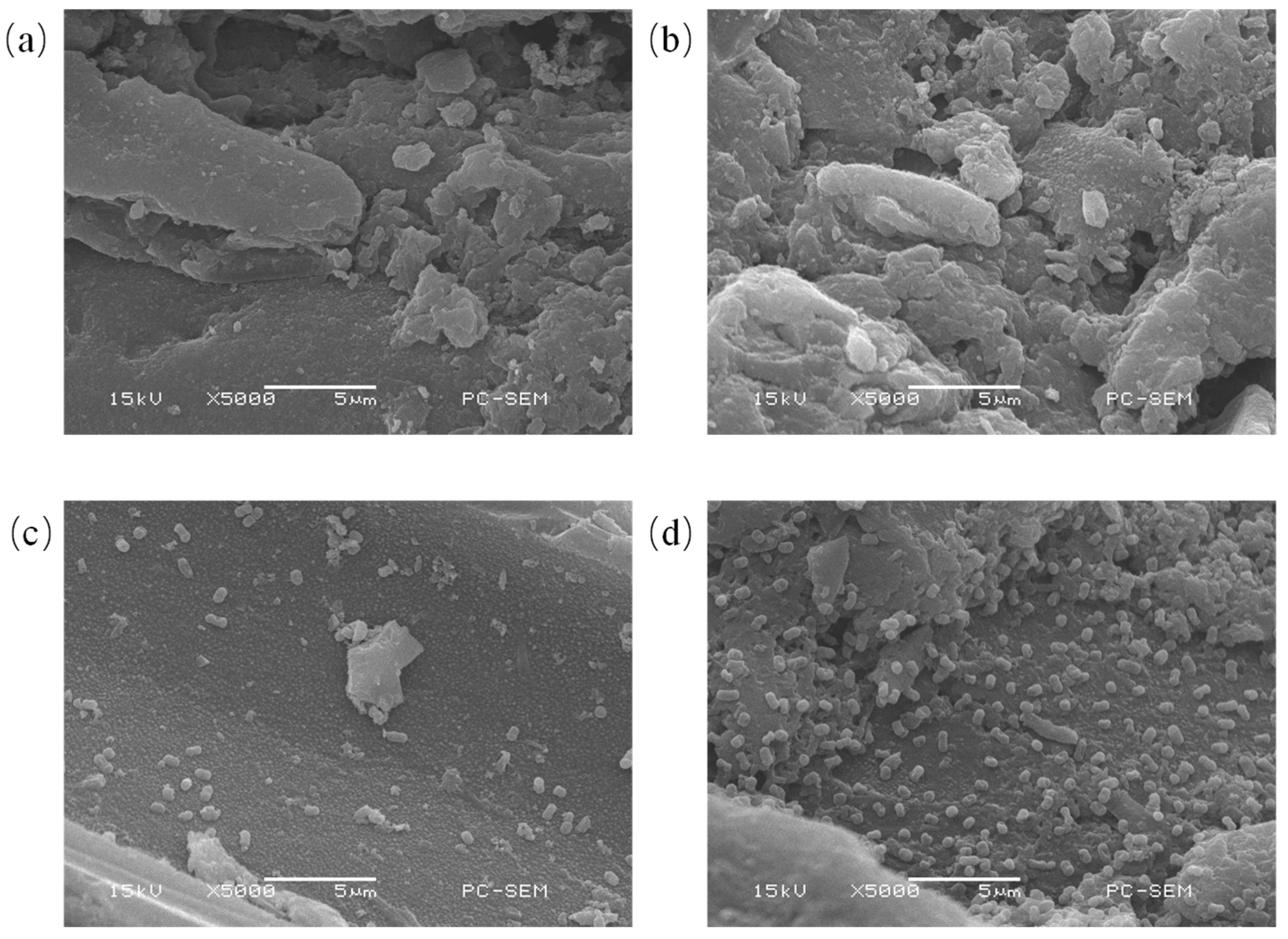 Processes 11 00926 g001