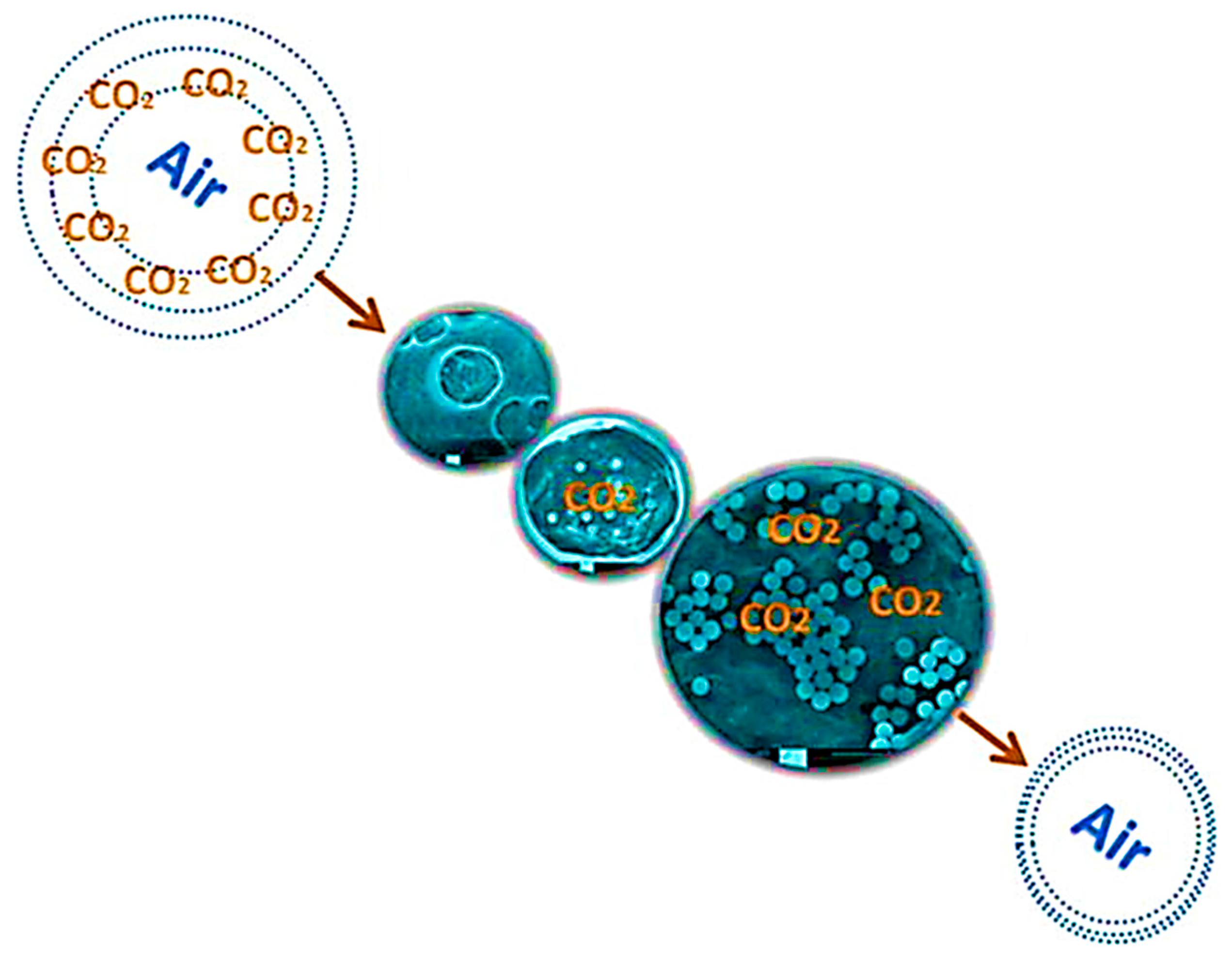 Processes 11 00927 g001